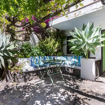 Comfy Casa Loe Rustic House El Pinar & Terrace Apartment